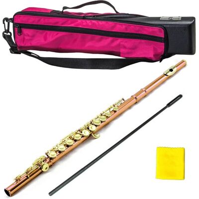 Unbranded New C Foot Closed Hole Pink Flute w Gold Keys Unbranded New C Foot Closed Hole Pink Flute w Gold Keys
