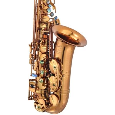 P. Mauriat P. Mauriat PMXA-67RCL Professional Alto Saxophone (... P. Mauriat P. Mauriat PMXA-67RCL Professional Alto Saxophone (...