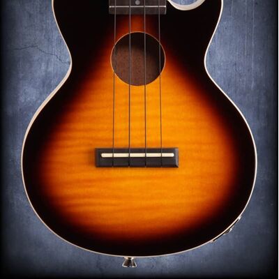 Epiphone EULP VSNH3 Epiphone EULP VSNH3