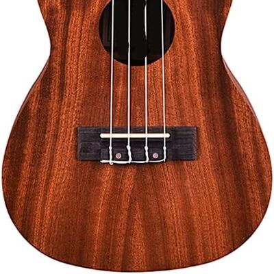 Unbranded Mahogany Wood Professional Ukulele With Acoustic/Ele... Unbranded Mahogany Wood Professional Ukulele With Acoustic/Ele...