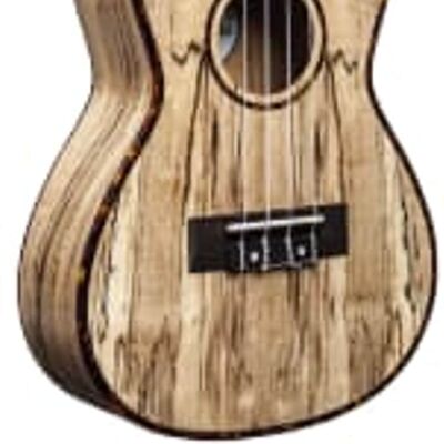 Amahi UK770C Classic Spalted Maple Concert Ukulele Amahi UK770C Classic Spalted Maple Concert Ukulele