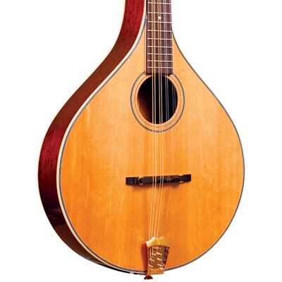 Gold Tone OM-800+/L Gold Tone OM-800+/L