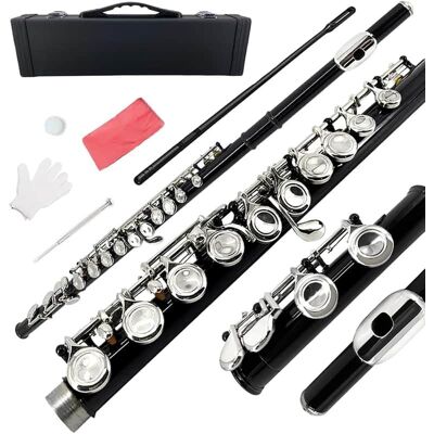 Unbranded Closed Hole C Flutes 16 Keys Flute for Beginner Stud... Unbranded Closed Hole C Flutes 16 Keys Flute for Beginner Stud...