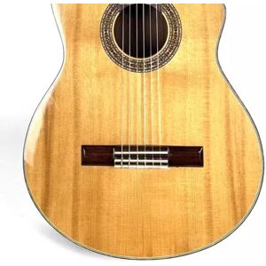 Unbranded Electric Acoustic