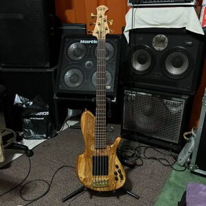 EAS Handmade Guitars & Basses 2019 EAS Handmade Guitars & Basses Burled