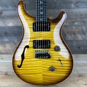 PRS PRS Wood Library Custom 24 Semi-Hollow