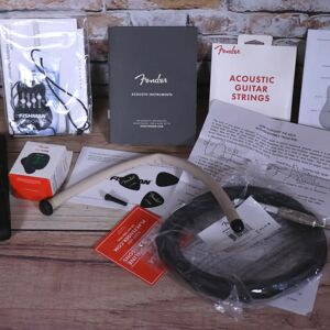 Fender Deluxe Accessory Kit/Case Candy for Acoustic guitars