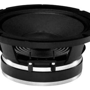 Unknown B&C Speakers 10PE26-8 LF Drivers 10-inch High Effi...