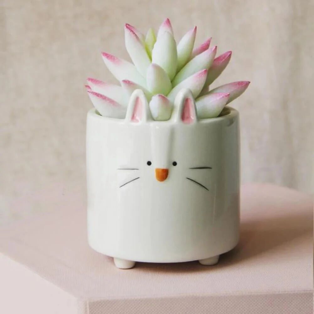 Mounteen Cartoon Animal Shaped Ceramic Flower Pots