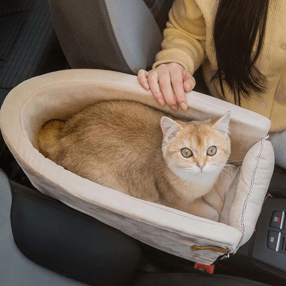 Mounteen Snuggly Safe Puppy Car Seat