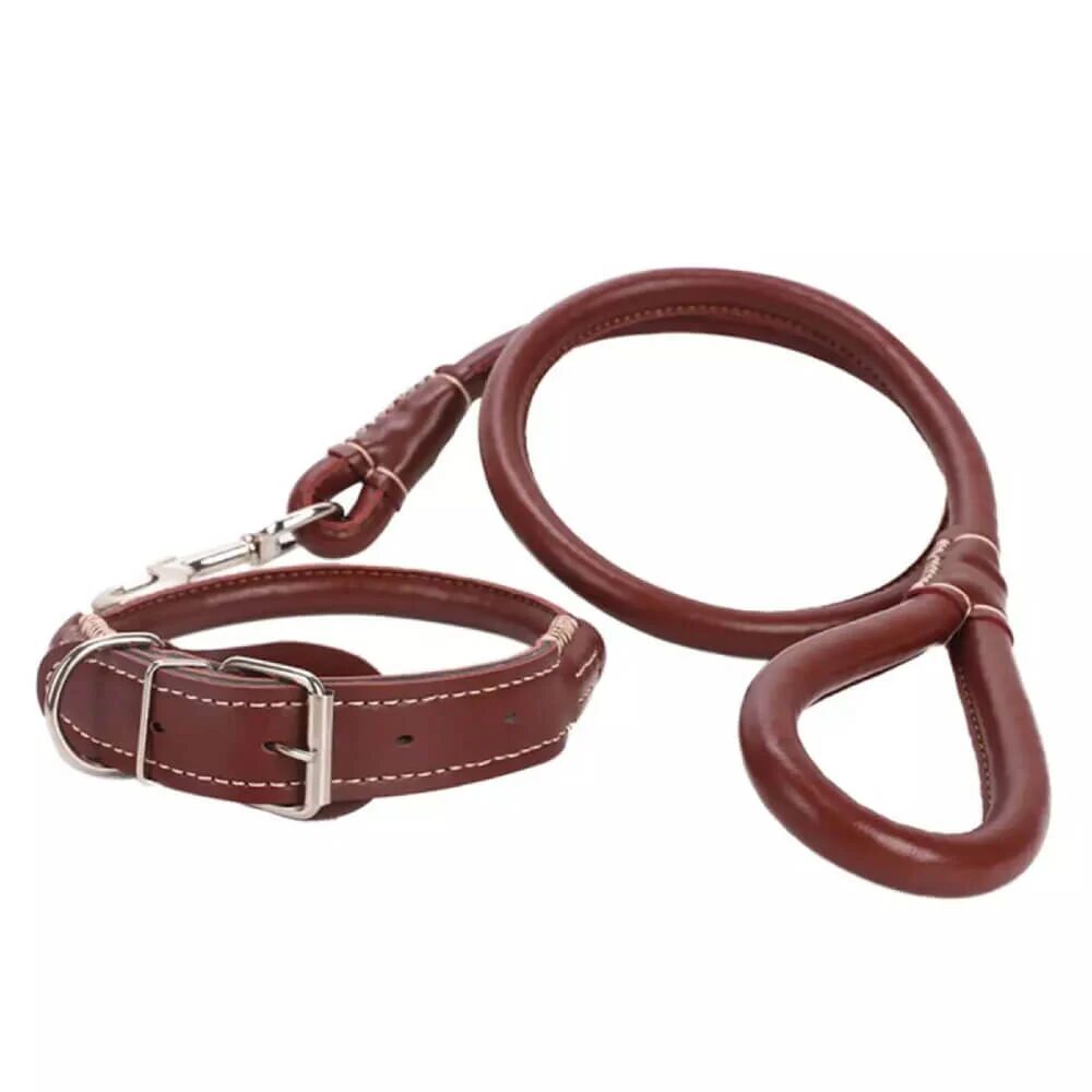 Mounteen 2-in-1 Rolled PU Leather Dog Collar & Leash