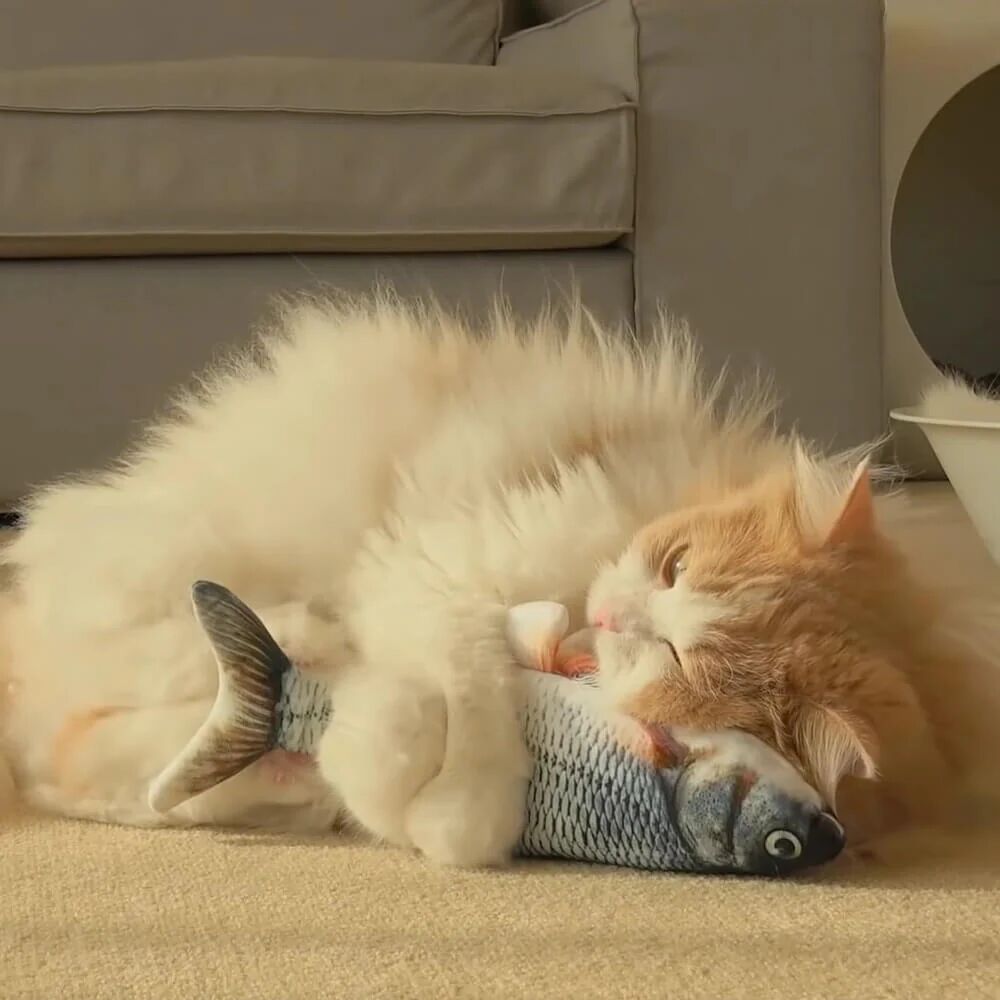 Mounteen Floppy Fish Cat Toy For Your Cat