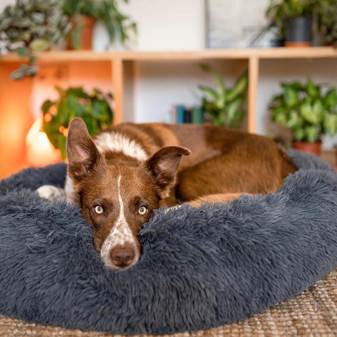 Mounteen Round Faux Fur Pet Bed