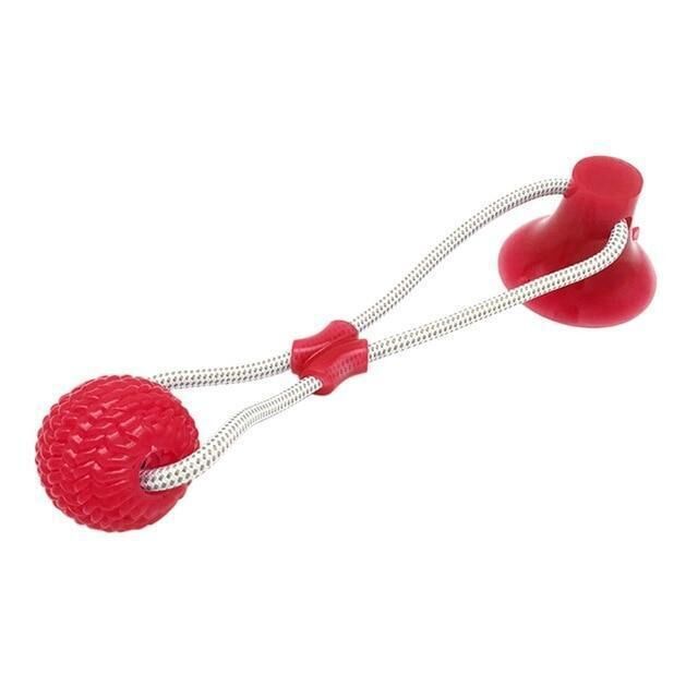 Mounteen Suction Cup Dog Toy