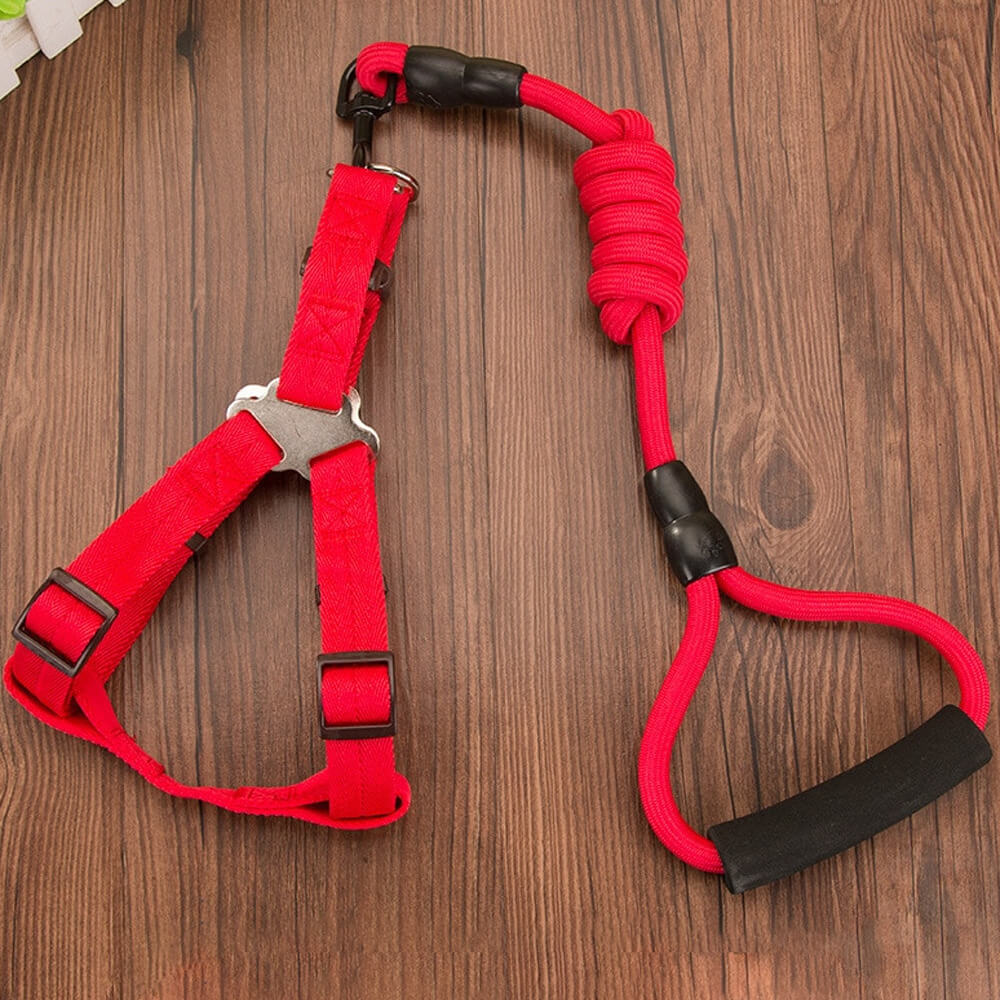 Mounteen Nylon Rope Dog Leash