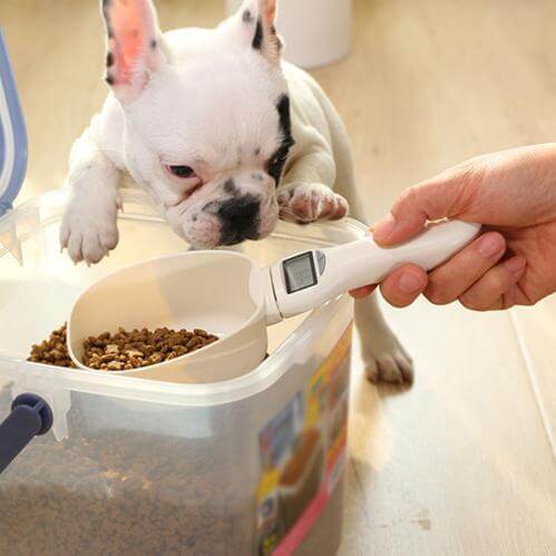 Mounteen Pet Food Measuring Scoop