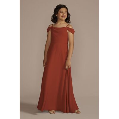 Celebrate DB Studio Chiffon Swag Sleeve Junior Bridesmaid Dress in Cinnamon Size: 12 David's Bridal Celebrate DB Studio Chiffon Swag Sleeve Junior Bridesmaid Dress in Cinnamon Size: 12 David's Bridal