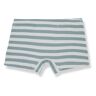 1+ in the family Alessandro Striped Swim Shorts Blue Green 6 months Boy