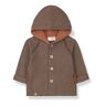 1+ in the family Oliver Recycled Material Hooded Jacket Brown 3 months Girl