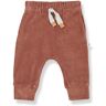 1+ in the family Jon Velour Jogger Terracotta 12 months Girl