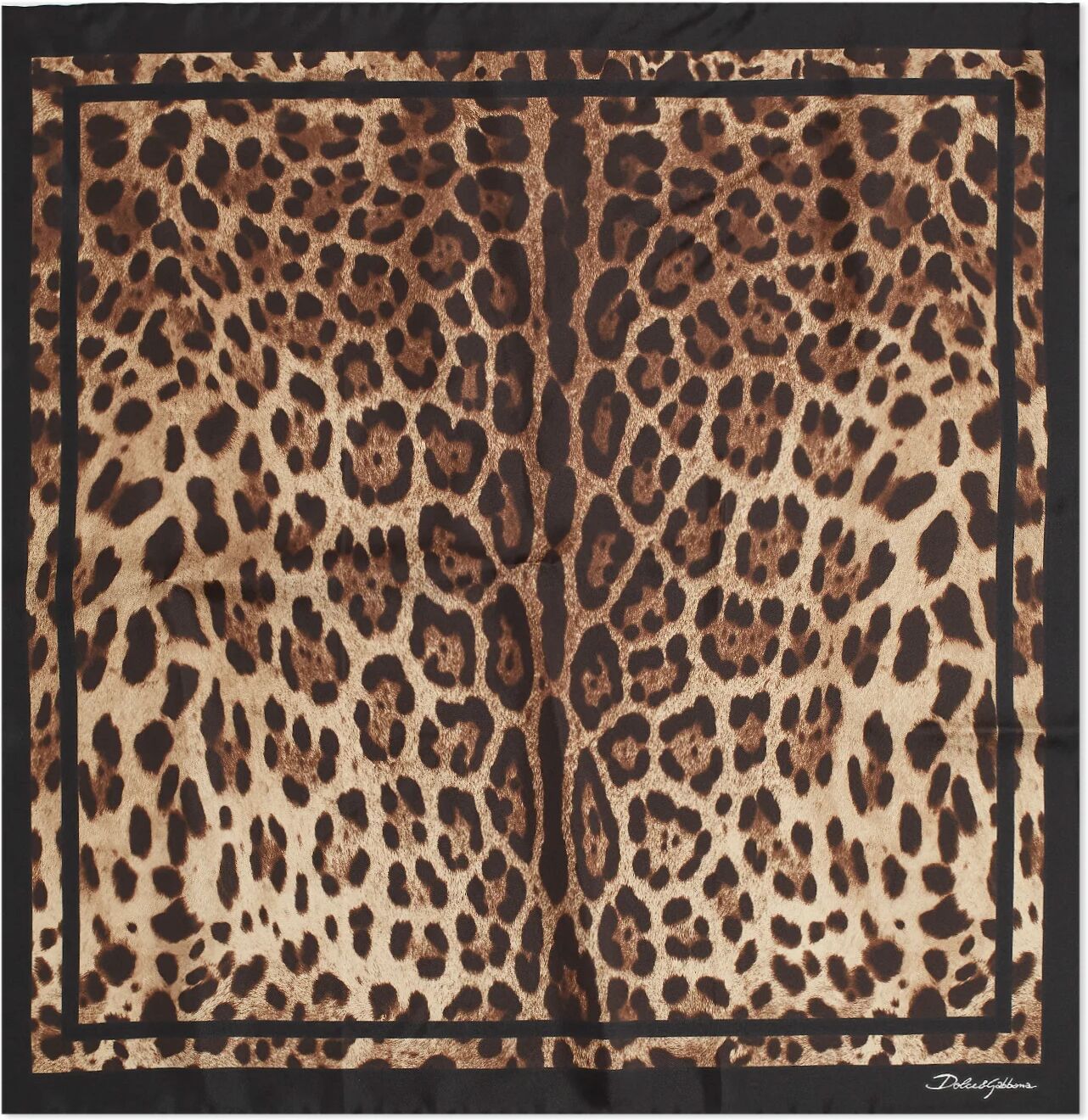 Dolce & Gabbana Women's Leopard Scarf in Brown