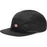 Dickies Men's Albertville 5 Panel Cap in Black