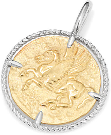 Shane Co. Pegasus Coin Charm in Vermeil 14K, Gold, Sterling Silver Gold