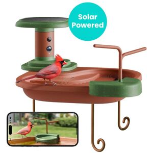 BIRDFY - Smart Bird Bath Jolly V with Weatherproof Camera, Solar Powered, AI Bird ID(7-Day Free Trial), 1080P Live View - Brown BIRDFY - Smart Bird Bath Jolly V with Weatherproof Camera, Solar Powered, AI Bird ID(7-Day Free Trial), 1080P Live View - Brown