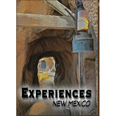 Margarita's Video Store LLC Experiences: New Mexico (MOD) (DVD Movie) Margarita's Video Store LLC Experiences: New Mexico (MOD) (DVD Movie)