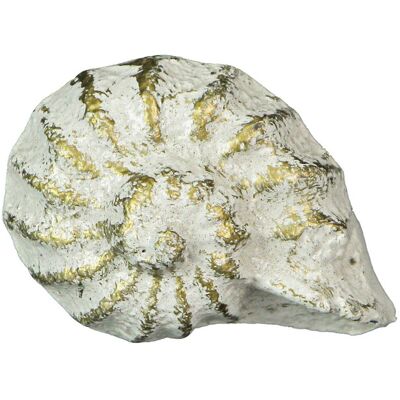 Zeckos - Cast Iron Nautilus Shell Drawer Pull Decorative Cabinet Knob Set of 6 - White Zeckos - Cast Iron Nautilus Shell Drawer Pull Decorative Cabinet Knob Set of 6 - White