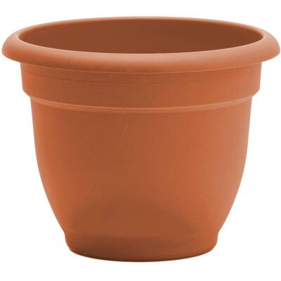 Bloem - Terra Cotta 12" - Ariana Pot Planter Bloem - Terra Cotta 12" - Ariana Pot Planter