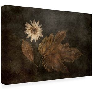 Trademark Fine Art - Gilbert Claes The Trio Canvas Art - 47 x 30 Inches - 47x30 - Multicolor Trademark Fine Art - Gilbert Claes The Trio Canvas Art - 47 x 30 Inches - 47x30 - Multicolor