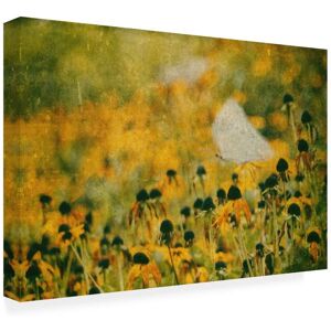 Trademark Fine Art - Ina Bouhuijzen End Of Summer Canvas Art - 24 x 16 Inches - 24x16 - Multicolor Trademark Fine Art - Ina Bouhuijzen End Of Summer Canvas Art - 24 x 16 Inches - 24x16 - Multicolor