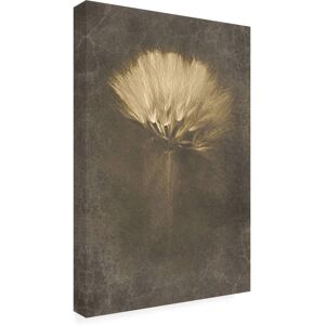 Trademark Fine Art - Cicek Kiral Mysterious Days Canvas Art - 16 x 24 Inches - 16x24 - Multicolor Trademark Fine Art - Cicek Kiral Mysterious Days Canvas Art - 16 x 24 Inches - 16x24 - Multicolor