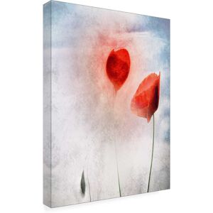 Trademark Fine Art - Gilbert Claes In Flanders Fields Canvas Art - 18 x 24 Inches - 18x24 - Multicolor Trademark Fine Art - Gilbert Claes In Flanders Fields Canvas Art - 18 x 24 Inches - 18x24 - Multicolor