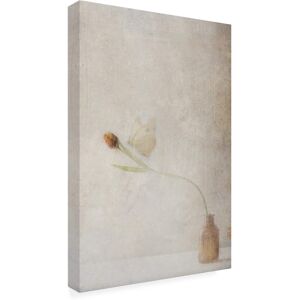 Trademark Fine Art - Delphine Devos Ephemeral Meeting Canvas Art - 16 x 24 Inches - 16x24 - Multicolor Trademark Fine Art - Delphine Devos Ephemeral Meeting Canvas Art - 16 x 24 Inches - 16x24 - Multicolor