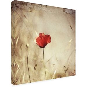 Trademark Fine Art - Ala Pneuma Alone Canvas Art - 18 x 18 Inches - 18x18 - Multicolor Trademark Fine Art - Ala Pneuma Alone Canvas Art - 18 x 18 Inches - 18x18 - Multicolor