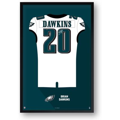 Sporticulture - Brian Dawkins Philadelphia Eagles Framed 14" x 20" Retired Jersey Art Print - Multicolor Sporticulture - Brian Dawkins Philadelphia Eagles Framed 14" x 20" Retired Jersey Art Print - Multicolor