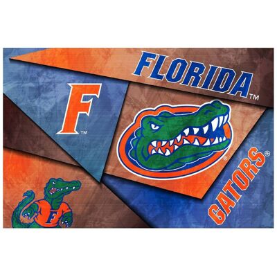 Indigo Falls - Florida Gators 16" x 24" Mosaic Poster - White Indigo Falls - Florida Gators 16" x 24" Mosaic Poster - White