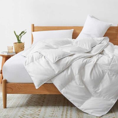Peace Nest - Lightweight Summer Goose Down Feather Fiber Comforter Duvet Insert, Full/Queen - White Peace Nest - Lightweight Summer Goose Down Feather Fiber Comforter Duvet Insert, Full/Queen - White
