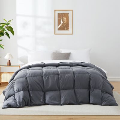 Peace Nest - Lightweight Summer White Goose Down Feather Fiber Comforter Duvet Insert - Full/Queen - Dark Gray Peace Nest - Lightweight Summer White Goose Down Feather Fiber Comforter Duvet Insert - Full/Queen - Dark Gray