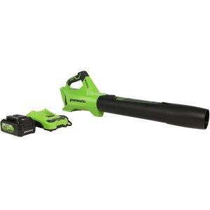 Greenworks - 24-Volt 110 MPH 450 CFM Cordless Handheld Blower (1 x 4.0Ah Battery and 1 x Charger) - Black/Green Greenworks - 24-Volt 110 MPH 450 CFM Cordless Handheld Blower (1 x 4.0Ah Battery and 1 x Charger) - Black/Green