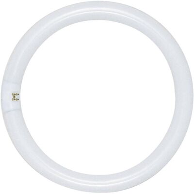 SATCO - 32 W T9 1.13 in. D X 12 in. L Circline Fluorescent Bulb Daylight Tubular 6500 K 1 pk SATCO - 32 W T9 1.13 in. D X 12 in. L Circline Fluorescent Bulb Daylight Tubular 6500 K 1 pk