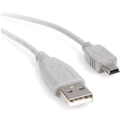 Startech - 1 ft Mini USB 2.0 Cable - A to Mini B - M/M Startech - 1 ft Mini USB 2.0 Cable - A to Mini B - M/M