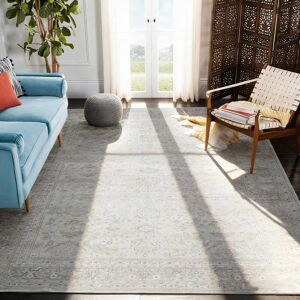 RYHNUYNE - 5x7 Washable Area Rug, Modern Traditional Stain Resistant Distressed Carpet, Soft Thin Rug for Dining Room Office - Gray RYHNUYNE - 5x7 Washable Area Rug, Modern Traditional Stain Resistant Distressed Carpet, Soft Thin Rug for Dining Room Office - Gray