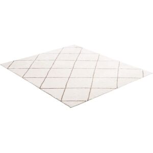 VEVOR - Indoor Plush Area Rugs, 8 x 10 ft Plush Carpet, Area Rugs Furry with Long Plushs Pile, Thick & Durable High-Pile Rug - Beige VEVOR - Indoor Plush Area Rugs, 8 x 10 ft Plush Carpet, Area Rugs Furry with Long Plushs Pile, Thick & Durable High-Pile Rug - Beige