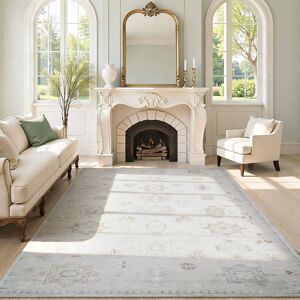 RYHNUYNE - 8x10 Area Rug, Washable Area Rug Non Slip Rugs for Living Room, Soft and Cozy Carpet for Bedroom Dining Room Home - Gray RYHNUYNE - 8x10 Area Rug, Washable Area Rug Non Slip Rugs for Living Room, Soft and Cozy Carpet for Bedroom Dining Room Home - Gray