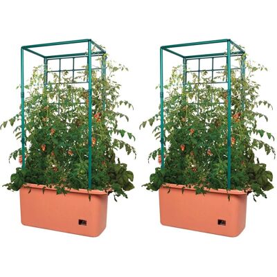 Hydrofarm - GCTR 10 Gal Tomato Trellis Self Watering Grow System (2 Pack) - Green Hydrofarm - GCTR 10 Gal Tomato Trellis Self Watering Grow System (2 Pack) - Green