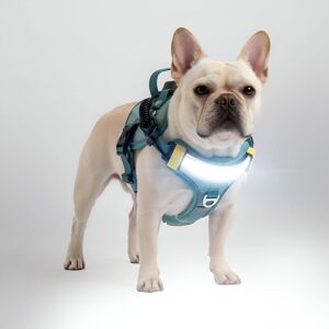 Lumi Pawtners - Lumi One LED Dog Harness - Blue Lumi Pawtners - Lumi One LED Dog Harness - Blue