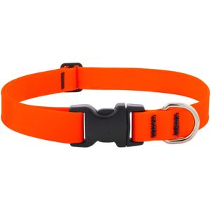 LupinePet - Splash BioThane Dog Adjustable Collar Large - Neon Orange LupinePet - Splash BioThane Dog Adjustable Collar Large - Neon Orange